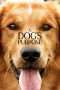 Nonton Streaming Download Drama A Dog’s Purpose (2017) jf Subtitle Indonesia Nonton Streaming Download Drama A Dog’s Purpose (2017) jf Subtitle Indonesia