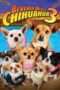Nonton Streaming Download Drama Nonton Beverly Hills Chihuahua 3 – Viva La Fiesta! (2012) Sub Indo jf Subtitle Indonesia Nonton Streaming Download Drama Nonton Beverly Hills Chihuahua 3 – Viva La Fiesta! (2012) Sub Indo jf Subtitle Indonesia