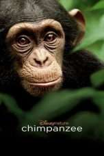 Nonton Streaming Download Drama Chimpanzee (2012) jf Subtitle Indonesia