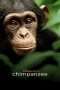 Nonton Streaming Download Drama Chimpanzee (2012) jf Subtitle Indonesia Nonton Streaming Download Drama Chimpanzee (2012) jf Subtitle Indonesia