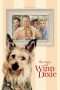 Nonton Streaming Download Drama Nonton Because of Winn-Dixie (2005) Sub Indo jf Subtitle Indonesia Nonton Streaming Download Drama Nonton Because of Winn-Dixie (2005) Sub Indo jf Subtitle Indonesia