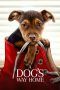 Nonton Streaming Download Drama Nonton A Dog’s Way Home (2019) Sub Indo jf Subtitle Indonesia Nonton Streaming Download Drama Nonton A Dog’s Way Home (2019) Sub Indo jf Subtitle Indonesia