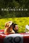 Nonton Streaming Download Drama Nonton The Art of Racing in the Rain (2019) Sub Indo jf Subtitle Indonesia