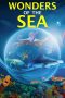 Nonton Streaming Download Drama Wonders of the Sea 3D (2017) jf Subtitle Indonesia Nonton Streaming Download Drama Wonders of the Sea 3D (2017) jf Subtitle Indonesia