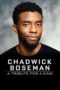 Nonton Streaming Download Drama Nonton Chadwick Boseman: A Tribute for a King (2020) Sub Indo jf Subtitle Indonesia Nonton Streaming Download Drama Nonton Chadwick Boseman: A Tribute for a King (2020) Sub Indo jf Subtitle Indonesia