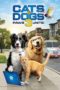Nonton Streaming Download Drama Nonton Cats & Dogs 3: Paws Unite (2020) Sub Indo jf Subtitle Indonesia Nonton Streaming Download Drama Nonton Cats & Dogs 3: Paws Unite (2020) Sub Indo jf Subtitle Indonesia