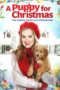 Nonton Streaming Download Drama Nonton A Puppy for Christmas (2016) Sub Indo jf Subtitle Indonesia Nonton Streaming Download Drama Nonton A Puppy for Christmas (2016) Sub Indo jf Subtitle Indonesia