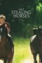 Nonton Streaming Download Drama Nonton Out Stealing Horses (2019) Sub Indo jf Subtitle Indonesia Nonton Streaming Download Drama Nonton Out Stealing Horses (2019) Sub Indo jf Subtitle Indonesia