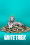 Nonton Streaming Download Drama Nonton The White Tiger (2021) Sub Indo jf Subtitle Indonesia Nonton Streaming Download Drama Nonton The White Tiger (2021) Sub Indo jf Subtitle Indonesia