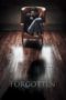 Nonton Streaming Download Drama Nonton Forgotten (2017) Sub Indo gt Subtitle Indonesia Nonton Streaming Download Drama Nonton Forgotten (2017) Sub Indo gt Subtitle Indonesia