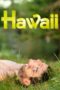 Nonton Streaming Download Drama Nonton Hawaii (2013) Sub Indo jf Subtitle Indonesia Nonton Streaming Download Drama Nonton Hawaii (2013) Sub Indo jf Subtitle Indonesia