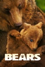 Nonton Streaming Download Drama Nonton Bears (2014) Sub Indo jf Subtitle Indonesia Nonton Streaming Download Drama Nonton Bears (2014) Sub Indo jf Subtitle Indonesia
