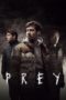 Nonton Streaming Download Drama Nonton Prey (2021) Sub Indo jf Subtitle Indonesia