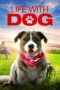 Nonton Streaming Download Drama Nonton Life with Dog (2018) Sub Indo jf Subtitle Indonesia Nonton Streaming Download Drama Nonton Life with Dog (2018) Sub Indo jf Subtitle Indonesia