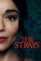 Nonton Streaming Download Drama Nonton The Strays (2023) Sub Indo jf Subtitle Indonesia Nonton Streaming Download Drama Nonton The Strays (2023) Sub Indo jf Subtitle Indonesia