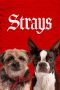 Nonton Streaming Download Drama Nonton Strays (2023) Sub Indo jf Subtitle Indonesia Nonton Streaming Download Drama Nonton Strays (2023) Sub Indo jf Subtitle Indonesia