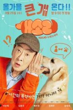Nonton Streaming Download Drama Nonton Dog Knows Everything 2024 Sub Indo Subtitle Indonesia