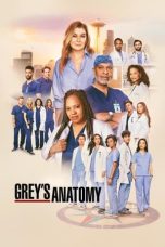 Nonton Streaming Download Drama Nonton Grey’s Anatomy Season 9 2005 Sub Indo Subtitle Indonesia