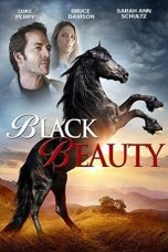 Nonton Streaming Download Drama Black Beauty 2015 Sub Indo JF Subtitle Indonesia