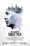 Nonton Streaming Download Drama Nonton The Legend of Swee’ Pea 2015 Sub Indo JF Subtitle Indonesia