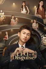 Nonton Streaming Download Drama Nonton My CEO in Disguise 2025 Sub Indo Subtitle Indonesia