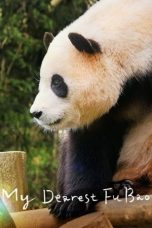 Nonton Streaming Download Drama Nonton My Dearest Fu Bao 2024 Sub Indo JF Subtitle Indonesia