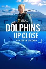 Nonton Streaming Download Drama Nonton Dolphins Up Close with Bertie Gregory 2025 Sub Indo Subtitle Indonesia