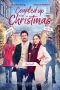 Nonton Streaming Download Drama Nonton Coupled Up for Christmas 2023 Sub Indo JF Subtitle Indonesia
