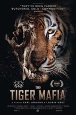 Nonton Streaming Download Drama Nonton The Tiger Mafia 2020 Sub Indo JF Subtitle Indonesia