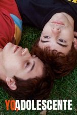 Nonton Streaming Download Drama Nonton Memories of a Teenager 2019 Sub Indo Subtitle Indonesia