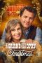 Nonton Streaming Download Drama Nonton A Grand Ole Opry Christmas 2025 Sub Indo Subtitle Indonesia