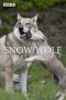 Nonton Streaming Download Drama Nonton The Snow Wolf: A Winter’s Tale 2018 Sub Indo Subtitle Indonesia