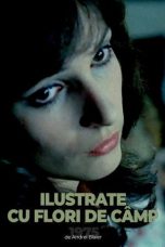 Nonton Streaming Download Drama Nonton Postcards with Wildflowers 1975 Sub Indo Subtitle Indonesia