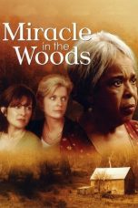 Nonton Streaming Download Drama Nonton Miracle in the Woods 1997 Sub Indo Subtitle Indonesia