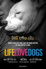 Nonton Streaming Download Drama Nonton Life Love Dogs 2019 Sub Indo Subtitle Indonesia