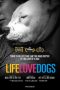 Nonton Streaming Download Drama Nonton Life Love Dogs 2019 Sub Indo Subtitle Indonesia