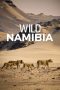 Nonton Streaming Download Drama Nonton Wild Namibia 2014 Sub Indo Subtitle Indonesia