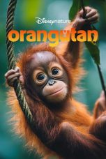 Nonton Streaming Download Drama Nonton Orangutan 2026 Sub Indo Subtitle Indonesia