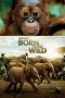 Nonton Streaming Download Drama Nonton Born to Be Wild 2011 Sub Indo Subtitle Indonesia