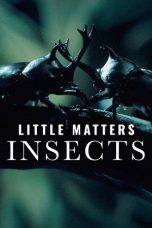 Nonton Streaming Download Drama Nonton Little Matters: Insects 2015 Sub Indo Subtitle Indonesia