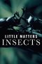 Nonton Streaming Download Drama Nonton Little Matters: Insects 2015 Sub Indo Subtitle Indonesia Nonton Streaming Download Drama Nonton Little Matters: Insects 2015 Sub Indo Subtitle Indonesia