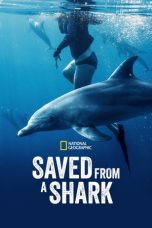 Nonton Streaming Download Drama Nonton Saved from a Shark 2023 Sub Indo Subtitle Indonesia