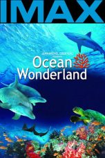 Nonton Streaming Download Drama Nonton Ocean Wonderland 3D 2003 Sub Indo Subtitle Indonesia