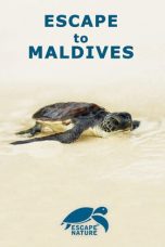 Nonton Streaming Download Drama Nonton Escape to Maldives 2015 Sub Indo Subtitle Indonesia