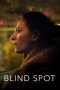 Nonton Streaming Download Drama Nonton Blind Spot 2018 Sub Indo Subtitle Indonesia