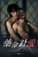 Nonton Streaming Download Drama Nonton Love on the Needle Tip 2026 Sub Indo Subtitle Indonesia