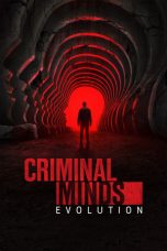 Nonton Streaming Download Drama Nonton Criminal Minds Season 1 2005 Sub Indo Subtitle Indonesia