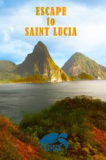Nonton Streaming Download Drama Nonton Escape to Saint Lucia 2013 Sub Indo Subtitle Indonesia