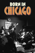 Nonton Streaming Download Drama Nonton Born In Chicago 2013 Sub Indo Subtitle Indonesia