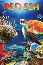 Nonton Streaming Download Drama Nonton Red Sea 2016 Sub Indo Subtitle Indonesia